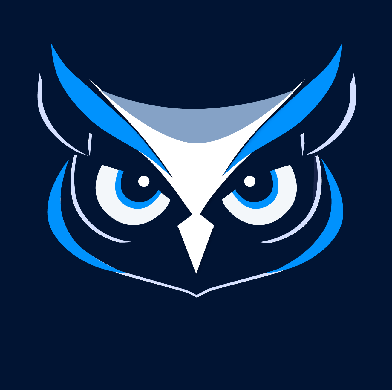 Secrato owl head on midnight